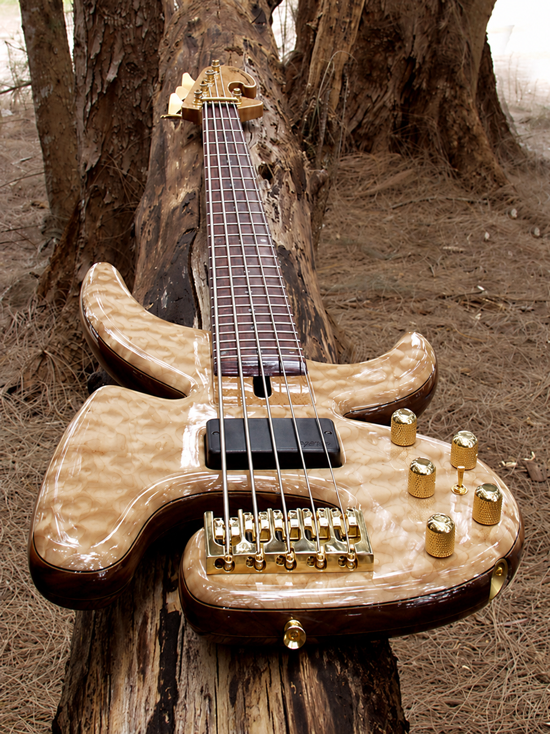 Close view of a Petrounov bass with an exotic wood finish